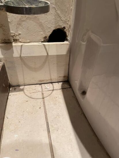 mice hole in wall