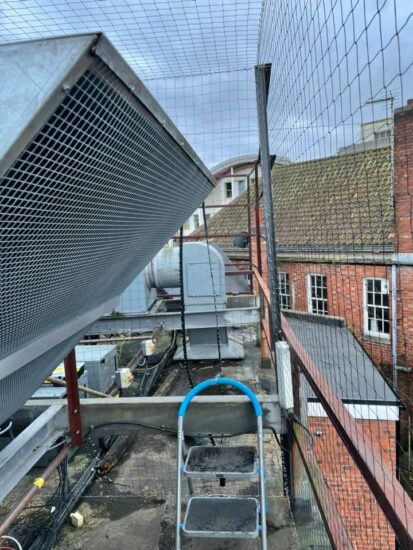 pigeon netting for roof