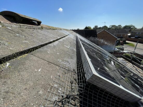 Low cost Pigeon Proofing in leicester