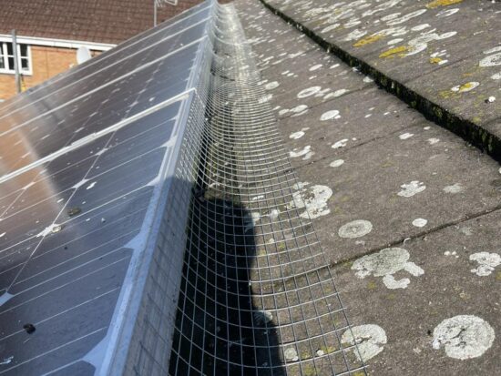 Pigeons Proofing Solar Panels