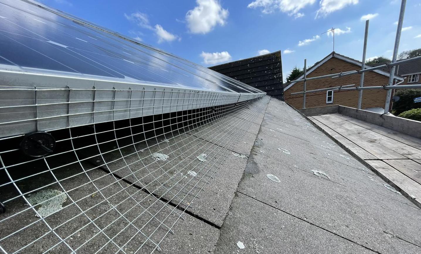 bird proofing solar panels in Leicester