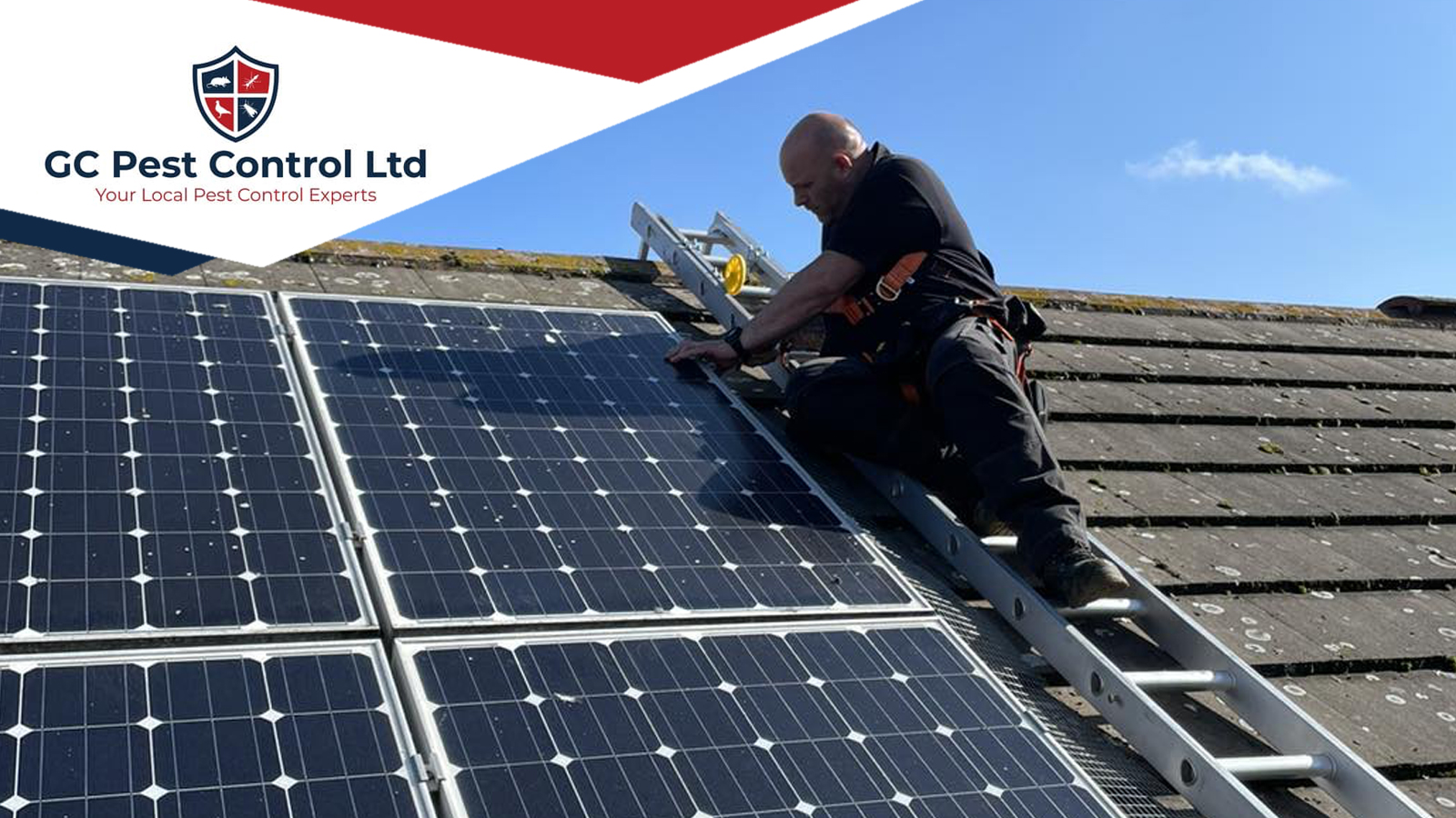 bird protection services for solar panels