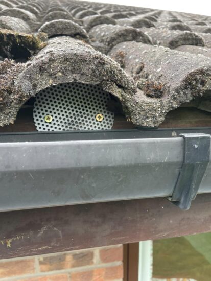 home roof tile squirrel proofing