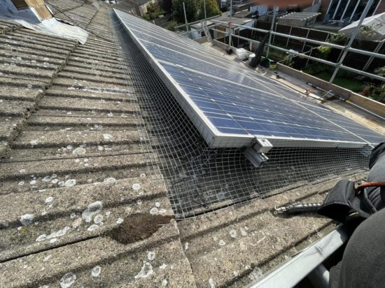 pigeon and bird guards for solar panels