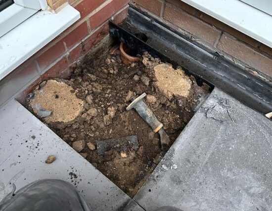 rats in domestic property drains