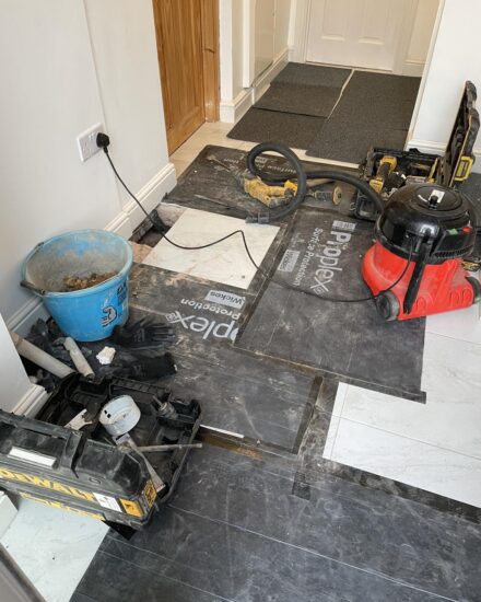 removal of rats nest in property floor