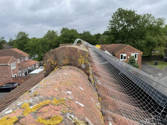 solar panel bird proofing