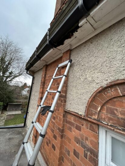 squirrel damage in care home roof