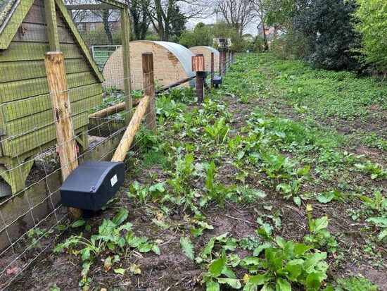 vermin bait boxes for small holding in leicester